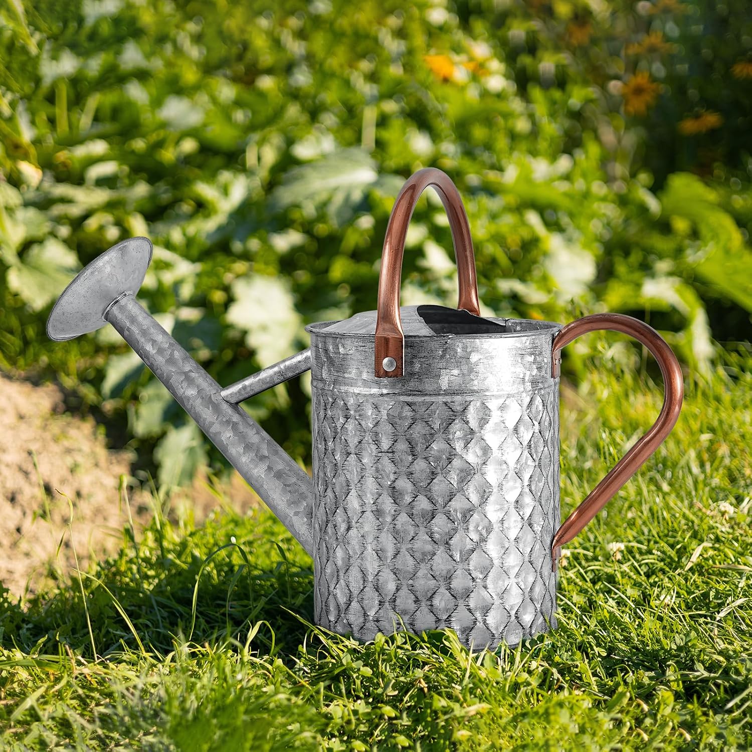 1 Gallon Metal Watering Can for Outdoor Indoor Plants, Galvanized Watering Can with Removable Spray Spout, Ideal for