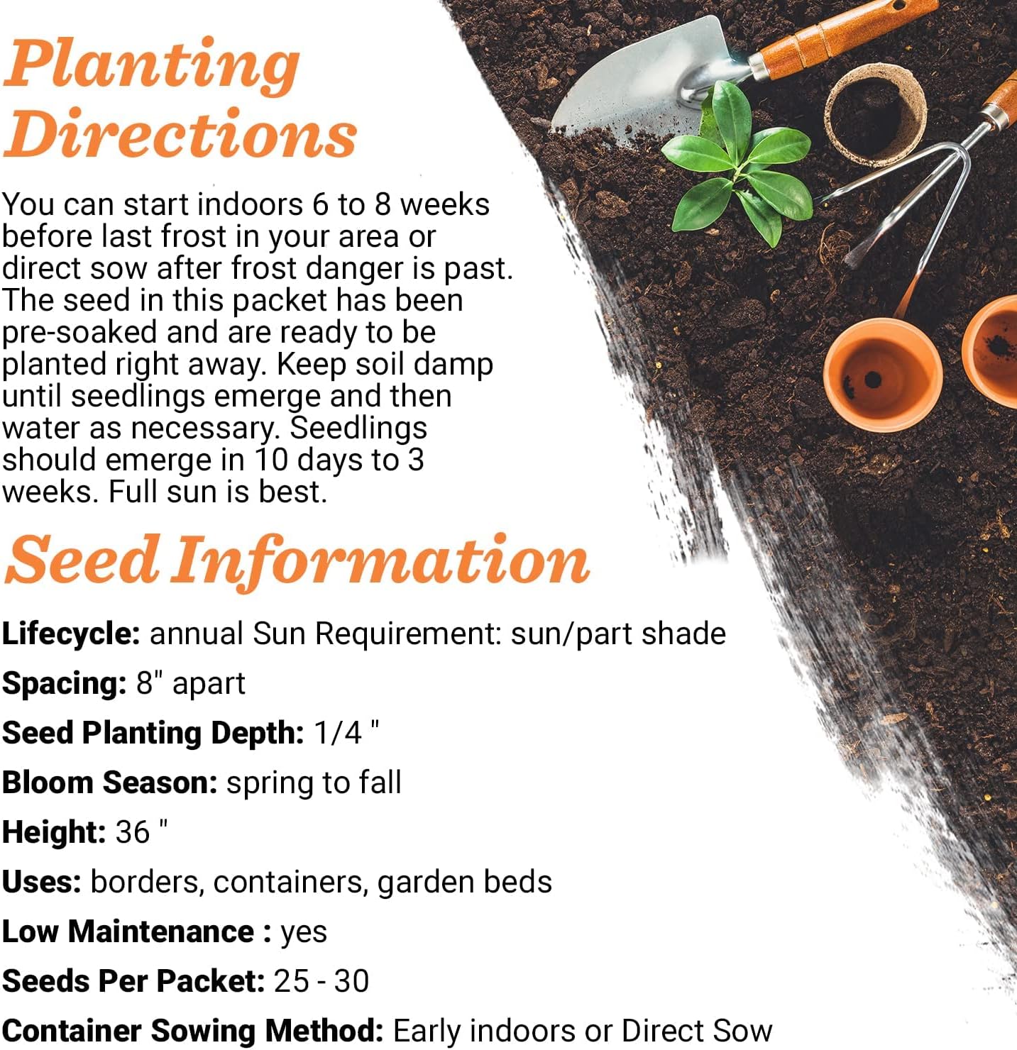 Bentley Seeds Co. Seed Packets for Planting - Party Favors for Indoors and Outdoors Gardening - Non GMO, Non-Coated