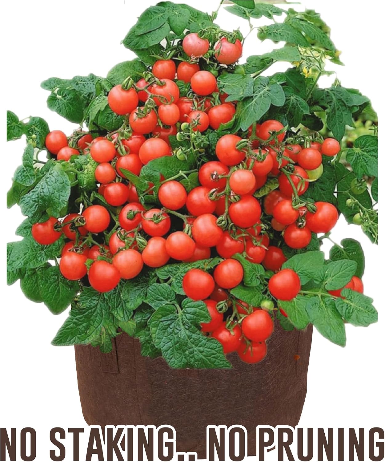 Best Root Pouch (5 Gallon)(10 Pack)(11"w x 10.25"H) Garden Grow Bag Container With Handles. Grow Bigger and Healthier