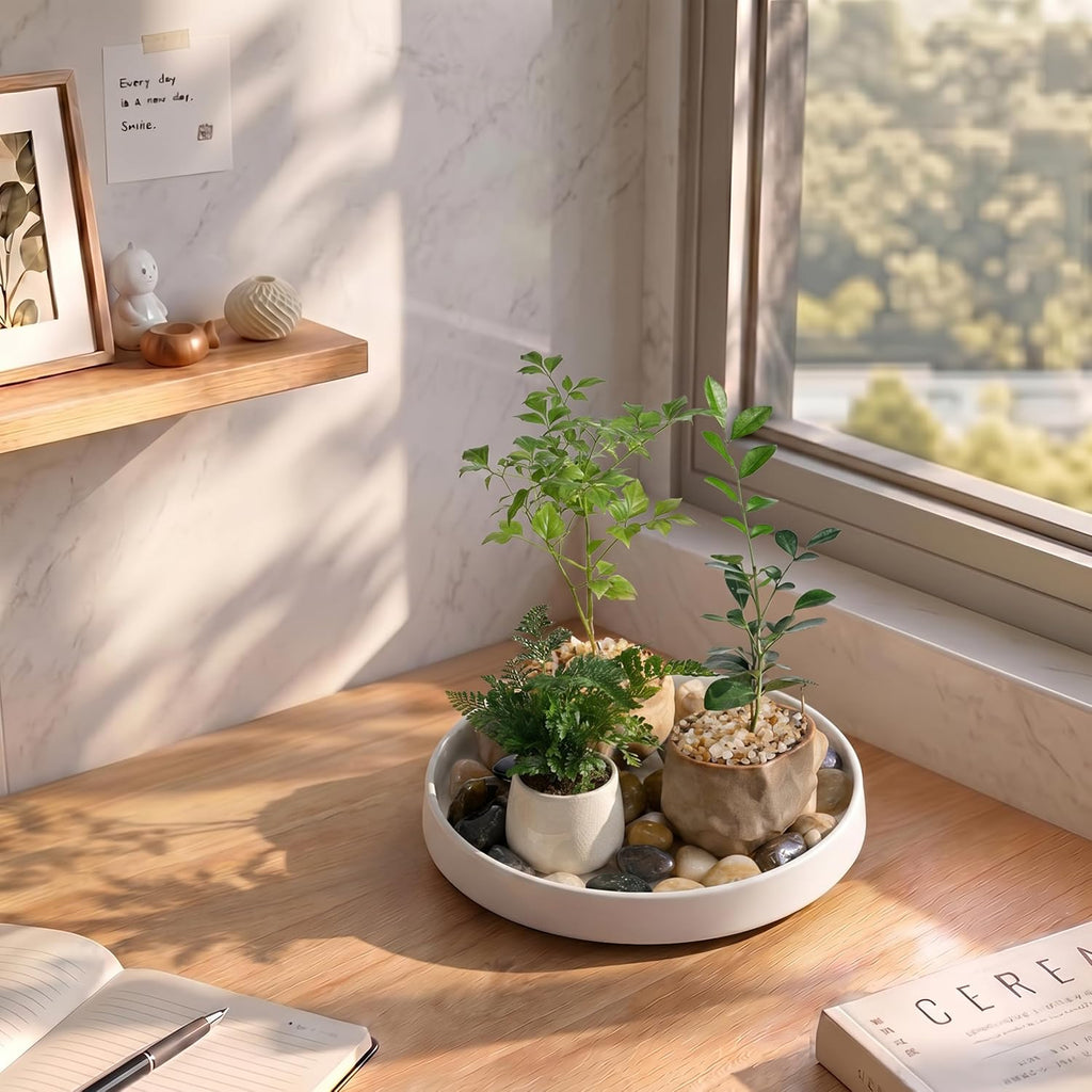 Ceramic Plant Saucer 8.5 Inch 2 Pack White, Fits Pot Base Under 8 Inch | Sturdy, Leak-Proof, Indoor Outdoor Planter