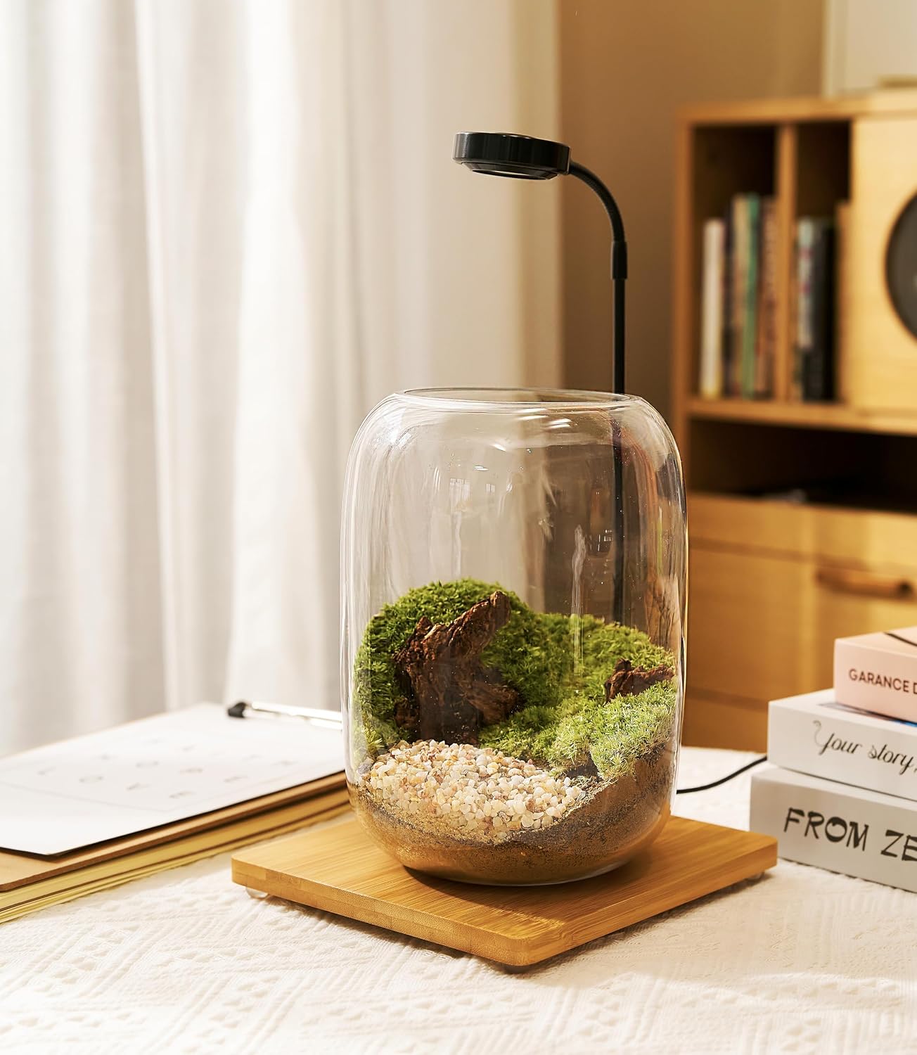 Premium Terrarium Kit with Live Moss, 24-Piece Glass Set | Complete DIY Kit, Grow Light, Beginner Friendly, Natural