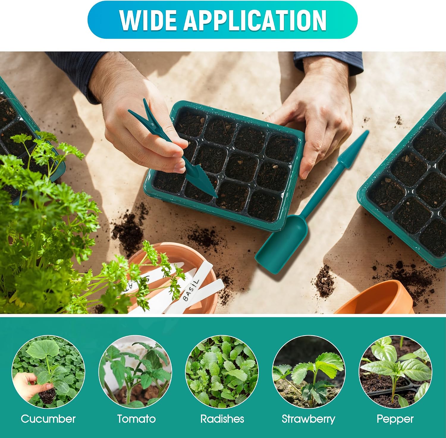 12-Set Seed Starter Tray with Grow Light, Seed Starting Trays Kits with Timing Controller Adjustable Humidity Domes