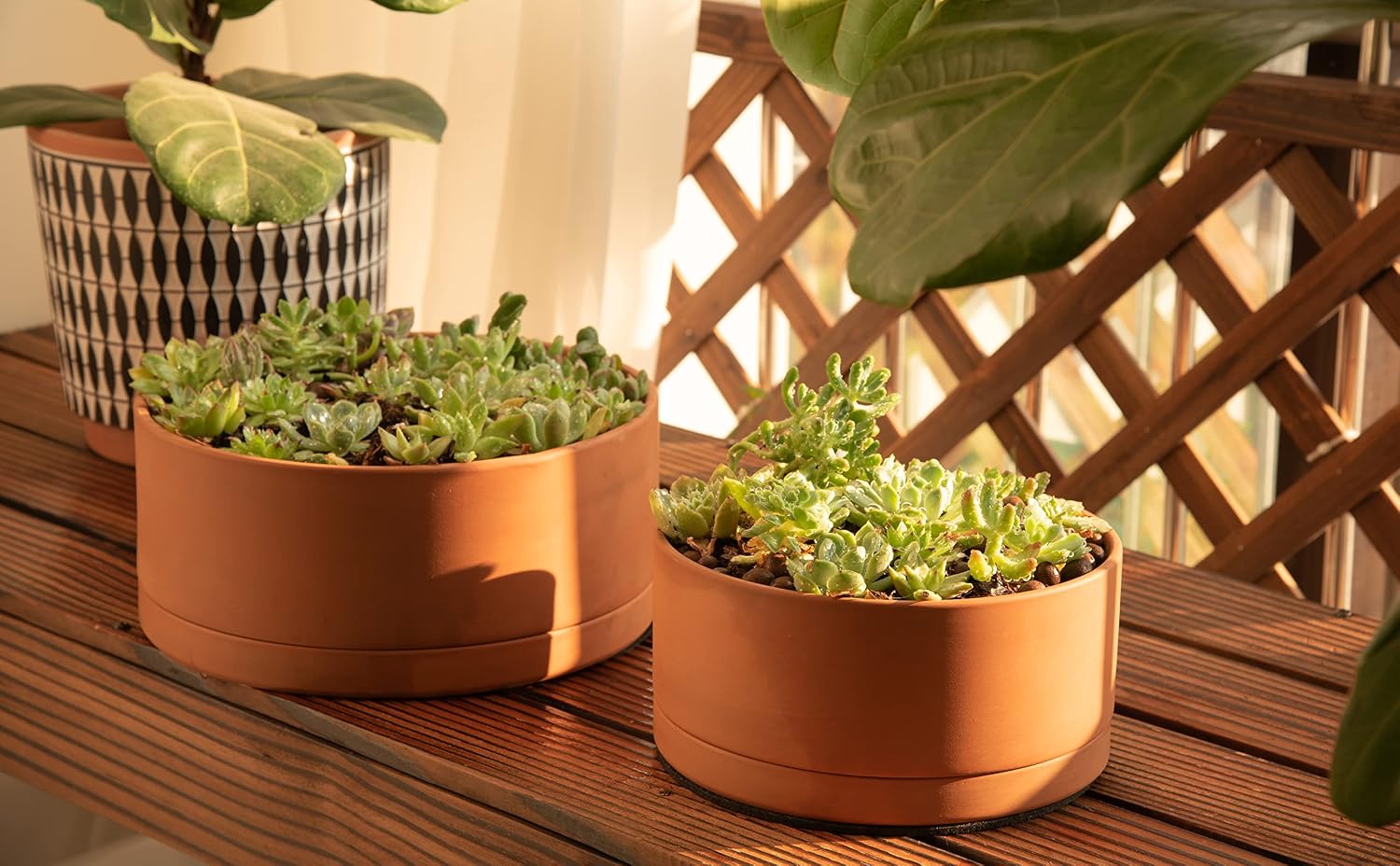 D'vine Dev Terracotta Shallow Planter Pot with Saucer, 10 in, 40-Y-B-0 | Wide Bowl Design, Unglazed Terracotta, Porous