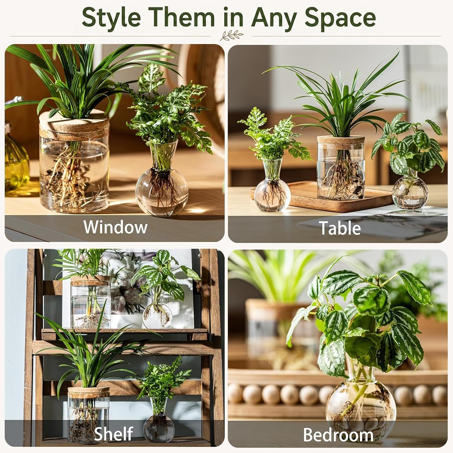 Plant Propagation Stations, 2 Style Glass Planter Terrariums, Propagation Vases for Plant, Plant Propagation Jars for