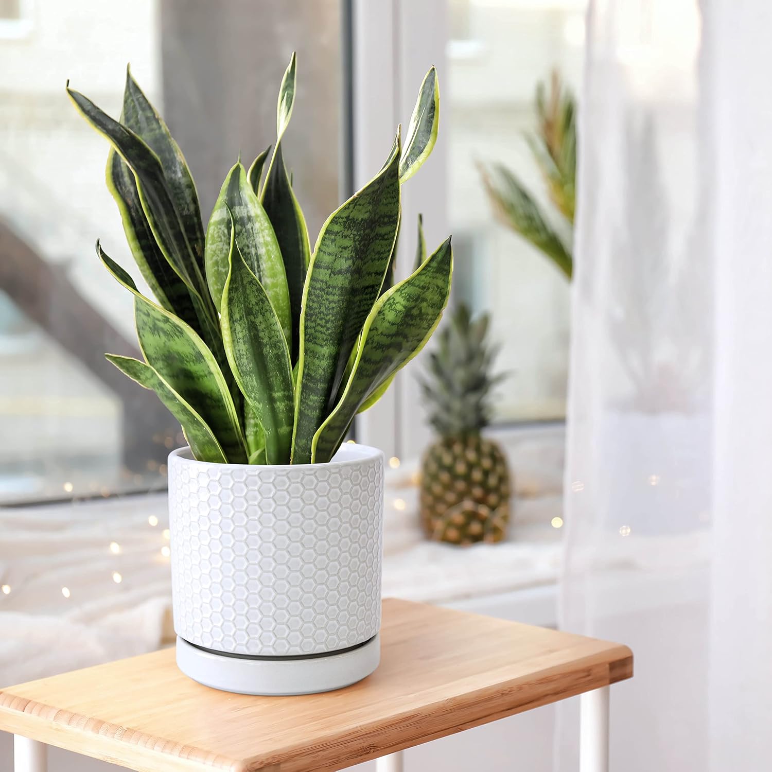 D'vine Dev 2-Pack Honeycomb Ceramic Planters, 4/6 in, 99-C-1-N | Sculptural Surface Detail, Timeless Design, Functional