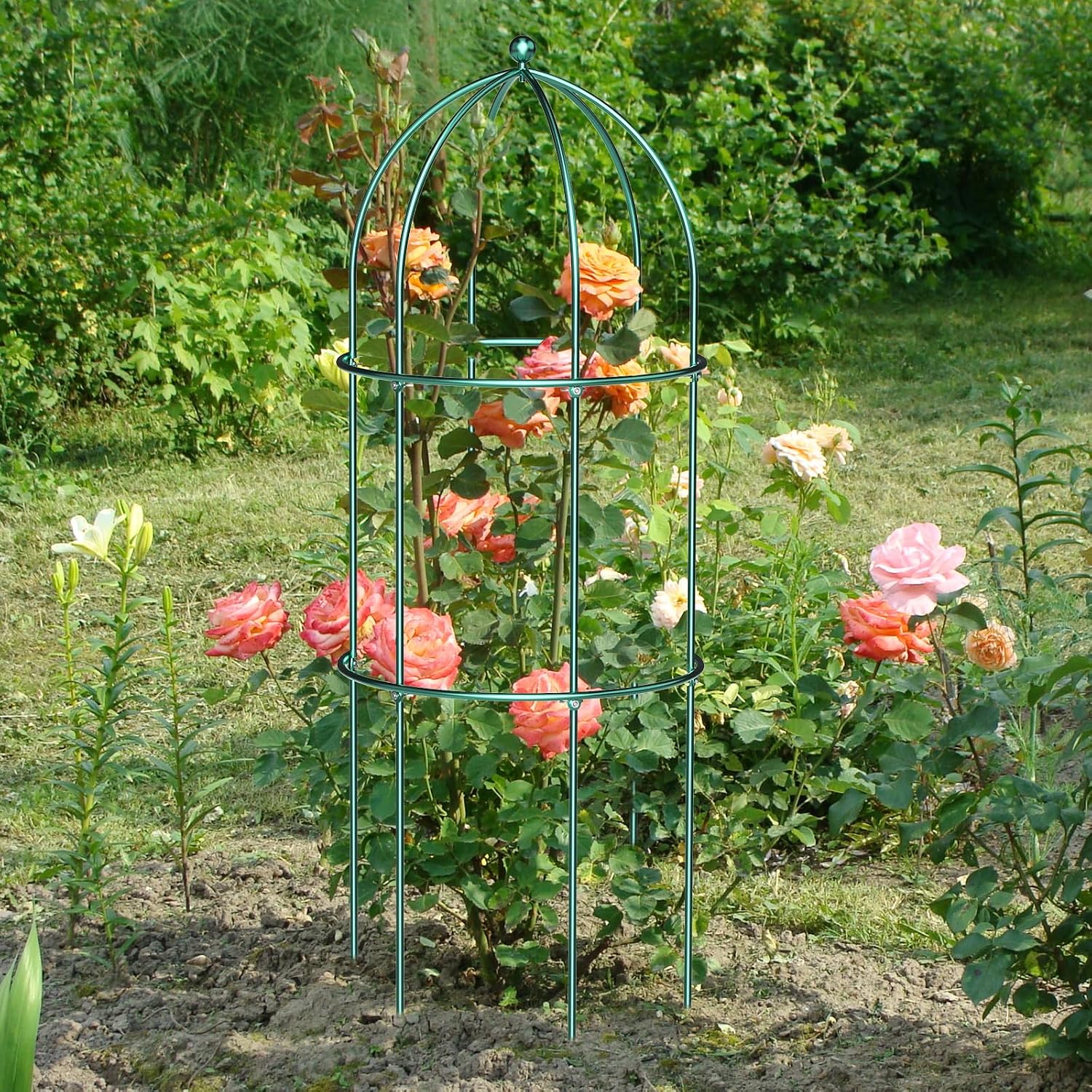 3 Pack Peony Cage, 17.7" x 47.2" Metal Plant Support Garden Trellis | Rustproof Tomato Cages Flowers Potted Obelisk
