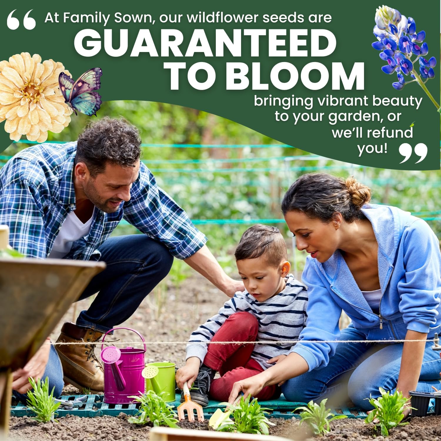 Texas Bluebonnet – 3,000 Seeds for Planting – 2026 Season – 4 Ounce Pouch