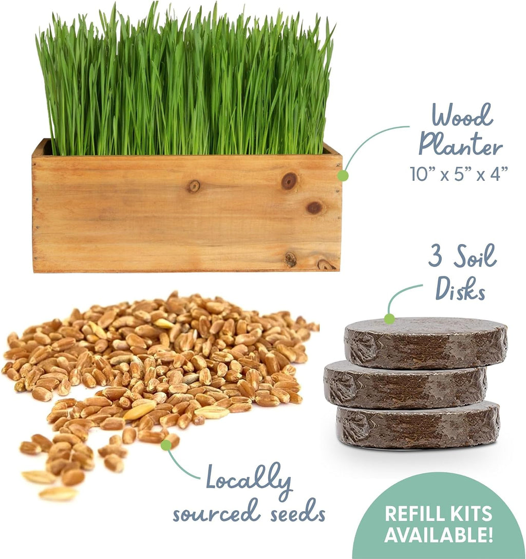 The Cat Ladies Cat Grass Kit with Rustic Wood Planter, Seed and Soil. Easy to Grow for Indoor or Outdoor Cats, Dogs and