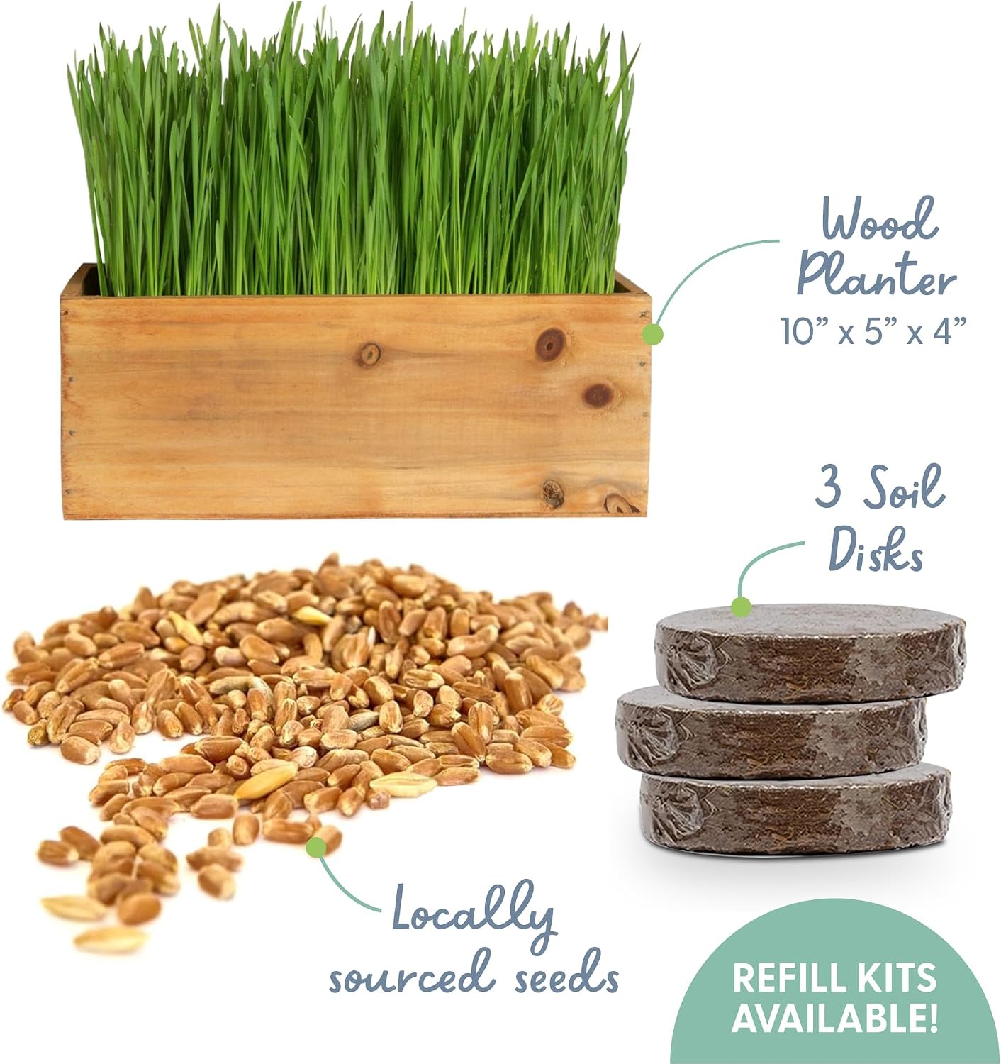 The Cat Ladies Cat Grass Kit with Rustic Wood Planter, Seed and Soil. Easy to Grow for Indoor or Outdoor Cats, Dogs and