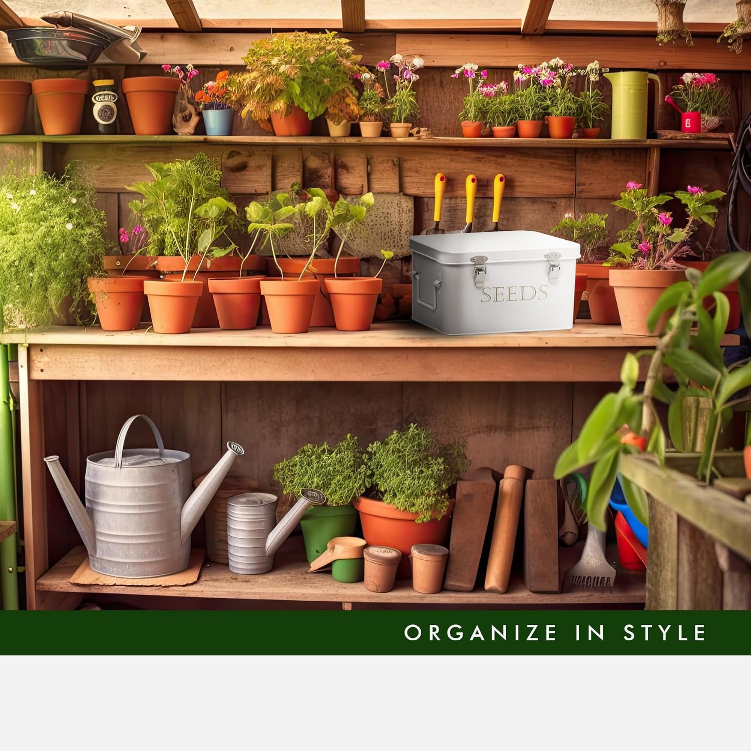 Garden Seed Storage Box with Dividers Seeds Packet Organizer Case for Gardening 3 Inner Slot Bird Plant or Vegetable