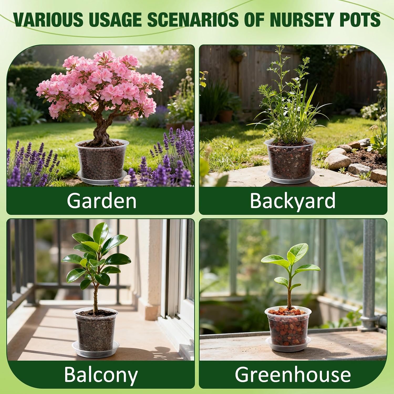 10/8/6/4 Inch Clear Nursery Pots with Drainage Holes and Saucers, 12 Pack Large Clear Pots for Plants Variety Pack
