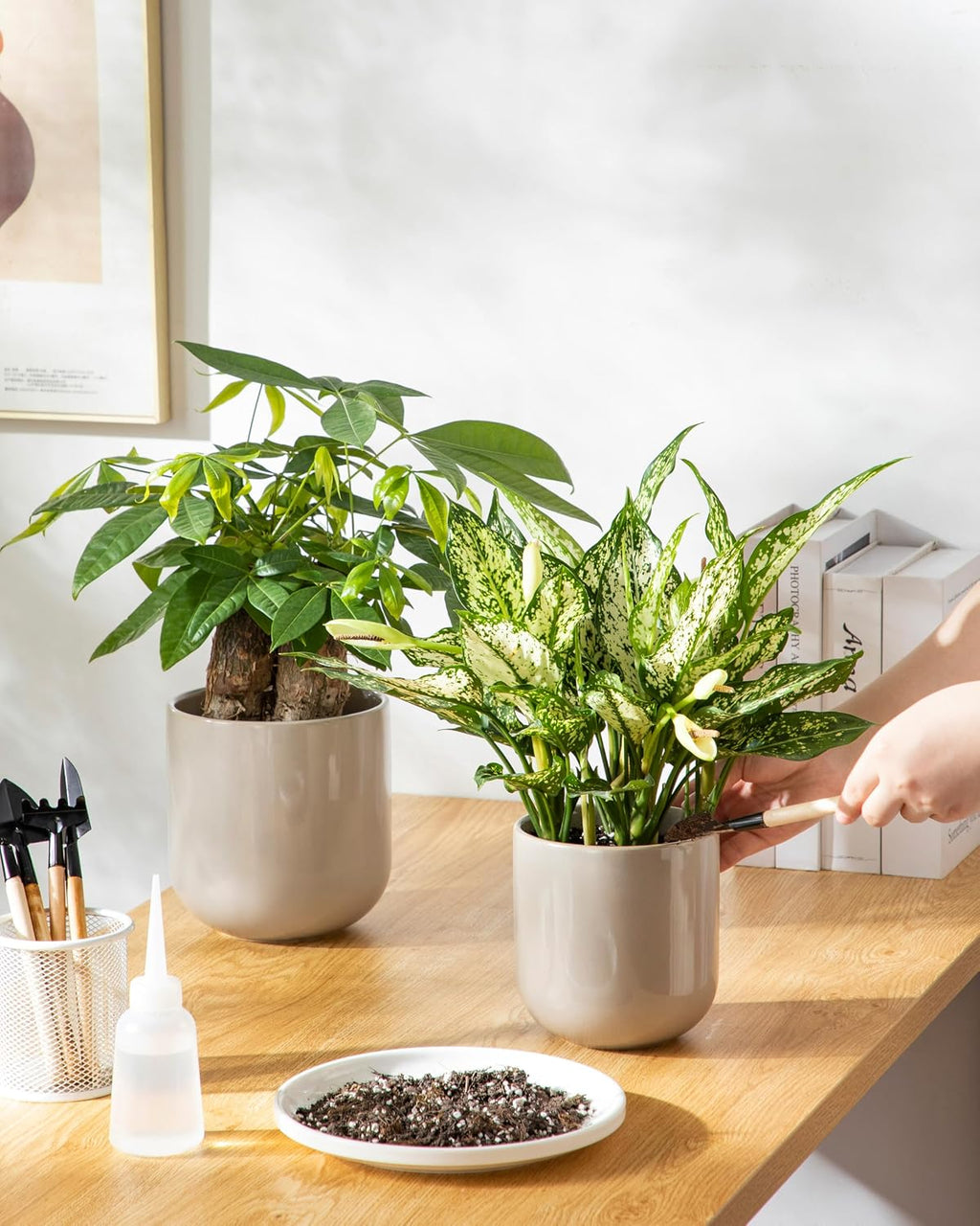 vancasso Ceramic Plant Pots, 4+5+6 inches, Set of 3, Planters with Drainage Hole, Flower Pots Planters Pots for Indoor