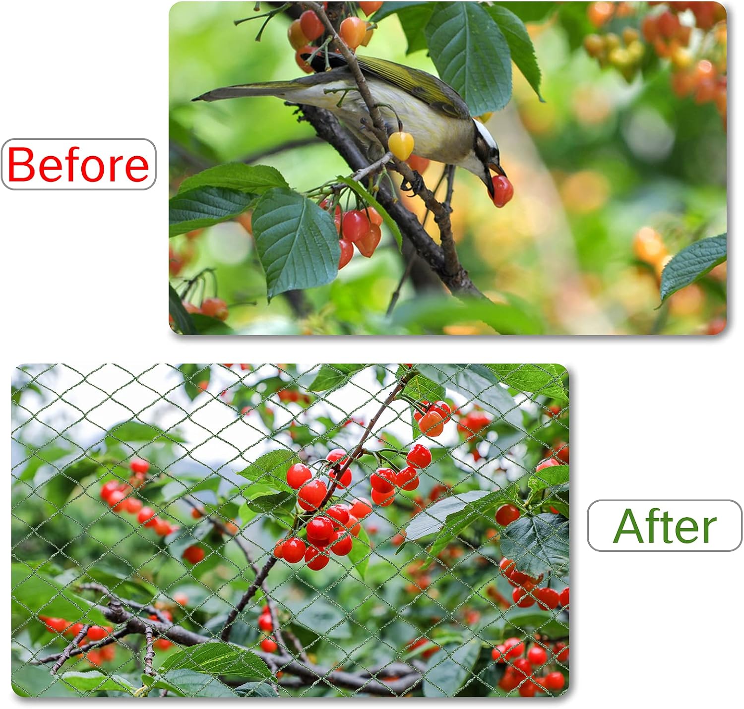 Anti Bird Netting for Garden Woven Mesh - Heavy Duty Protect Plants and Fruit Trees from Rodents Birds Deer Poultry