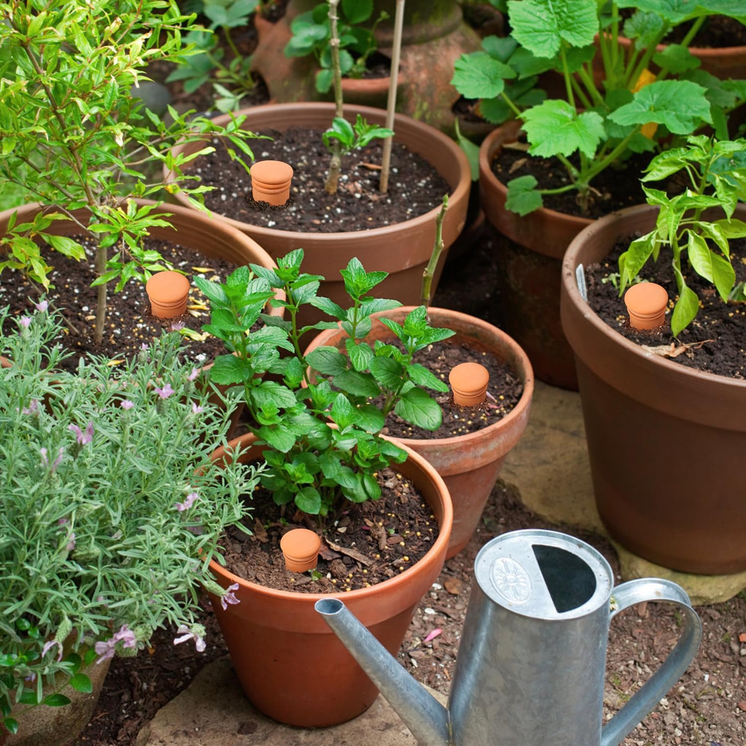 Ollas 8pcs 3.1 * 6inch Watring Can Pot Terracotta Self Watering Planter Insert Vacation Plant Care Olla Watering Terra