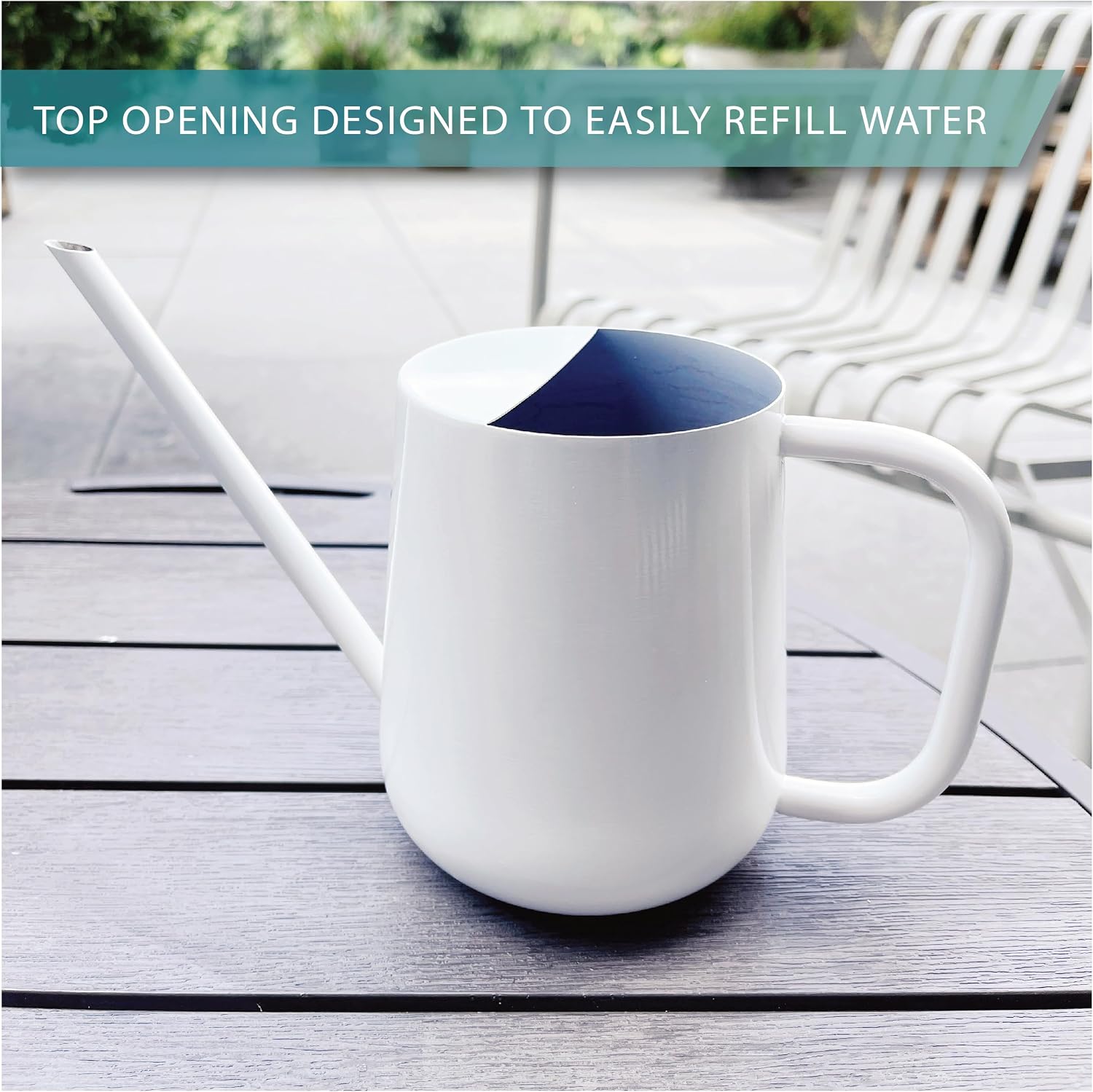 Metal Watering Can for Indoor Houseplants Outdoor Garden Long Sprout Water Can for Succulents Herb Bonsai Modern Garden
