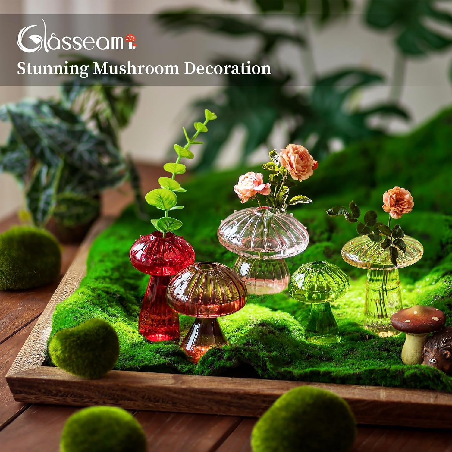 Glasseam Mushroom Plant Propagation Station: 5 Pcs Glass Mini Terrarium | Colored, Small Hydroponic Planter, Cute