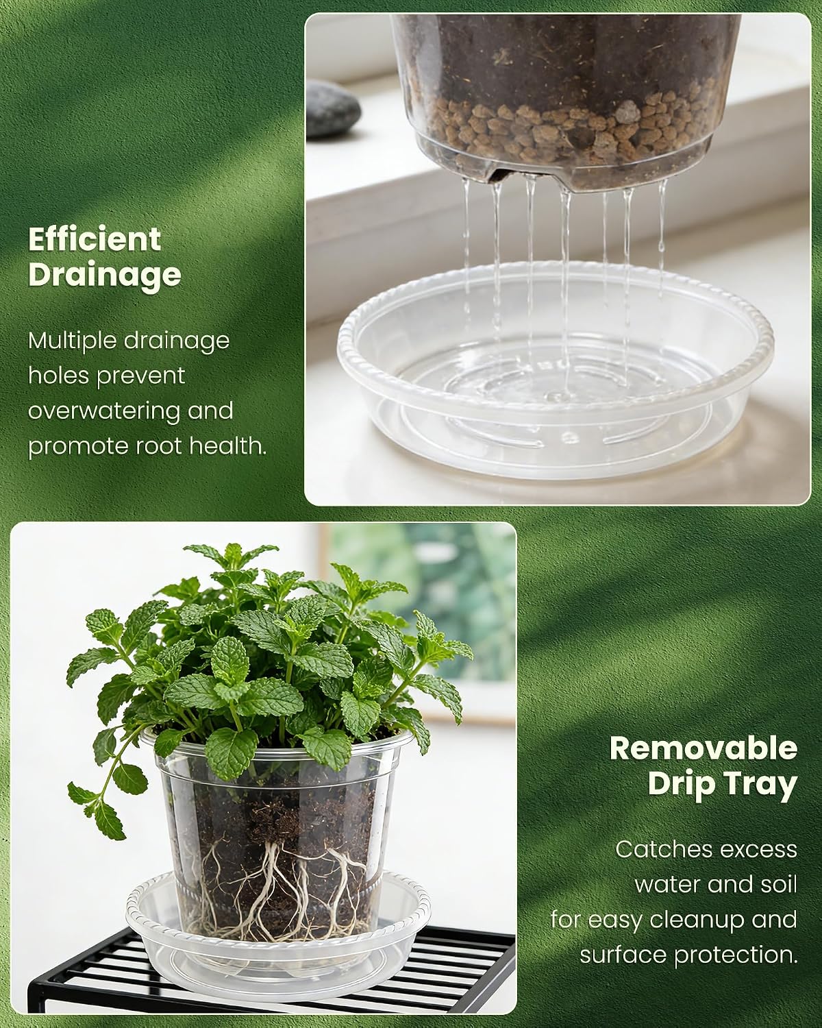 24 Pcs 7/6/5/4 In Clear Nursery Pots for Plants with Saucers, 24 Labels | High Transparency (Clear View of Root