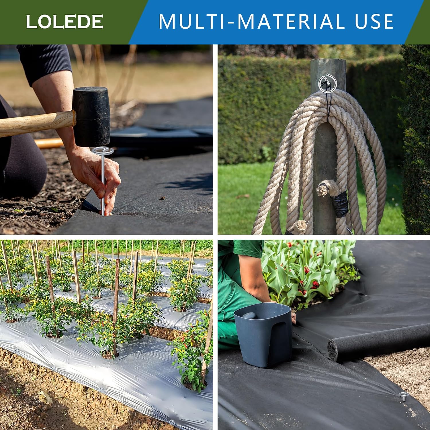 Landscape Staples Set（100Pcs） Thickened 6 Inch 8 Gauge Galvanized Garden Pins Set, Anti-Rust Heavy Duty Circle Top