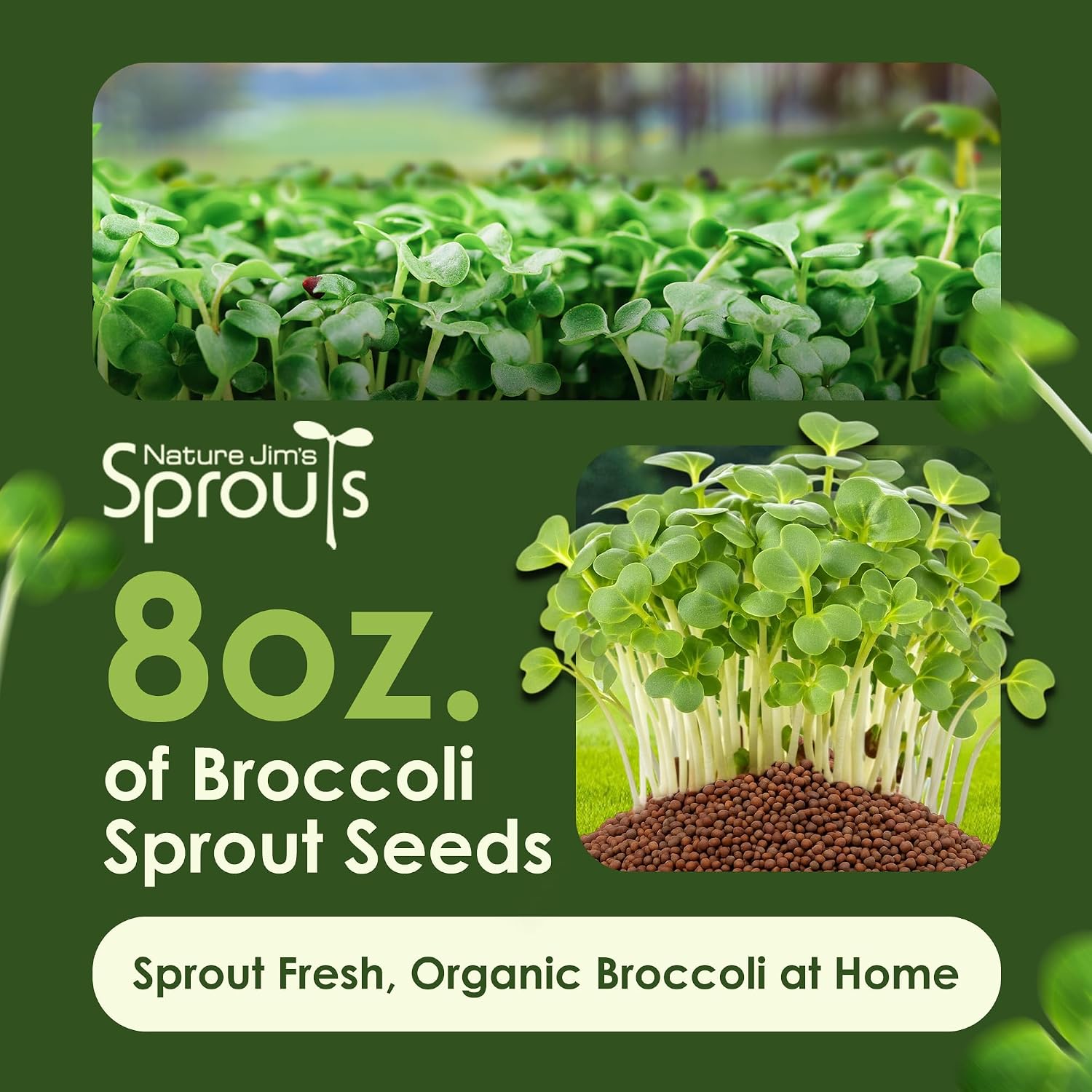 Nature Jims Organic Broccoli Sprout Seeds and Organic Salad Mix Seeds, Microgreens Variety for Healthy Indoor or