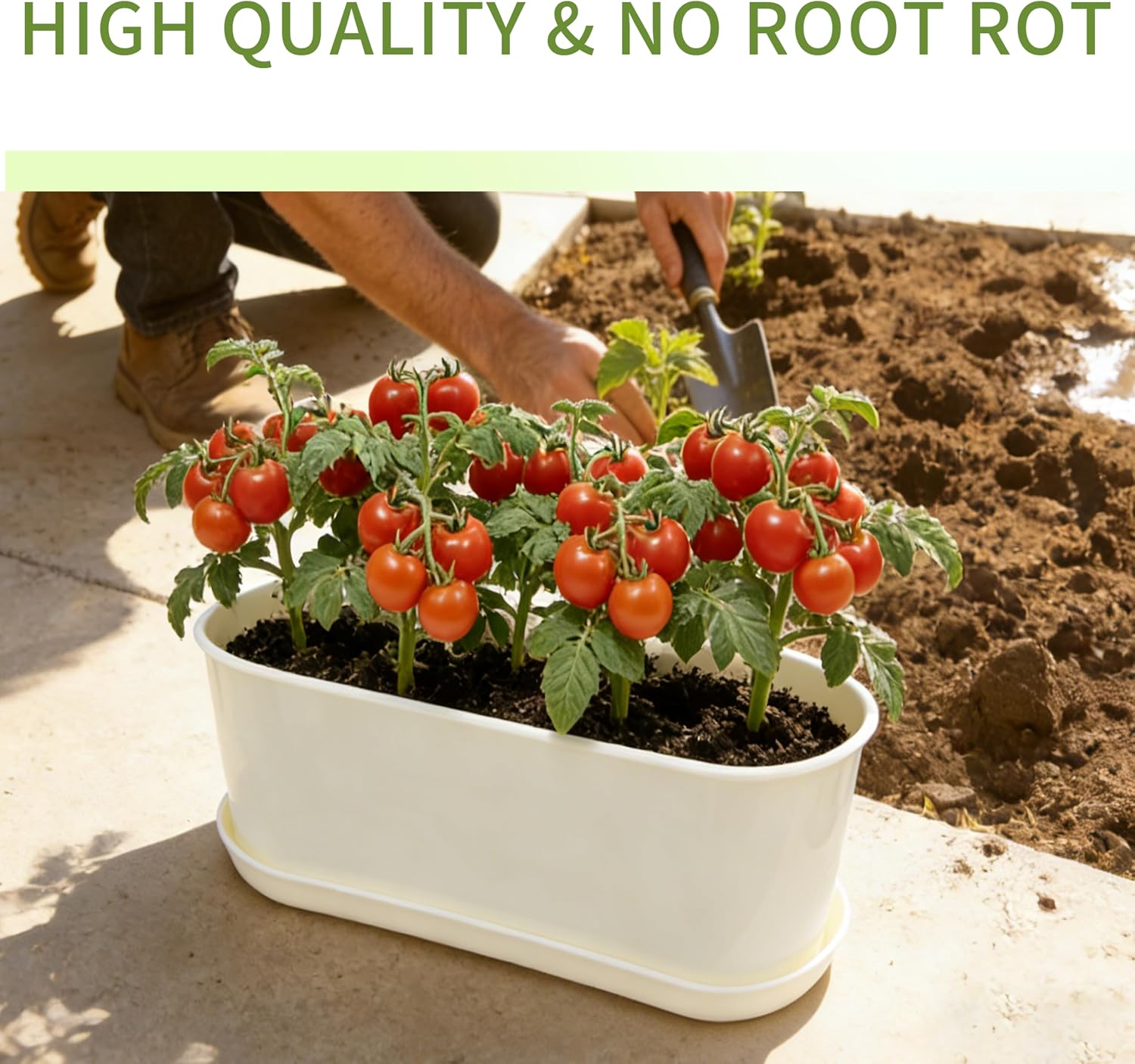 10-Pack White Herb Planter Box with Drip Trays, 8.5 Inch Small Oval Window Planters for Kitchen Sill, Indoor Outdoor