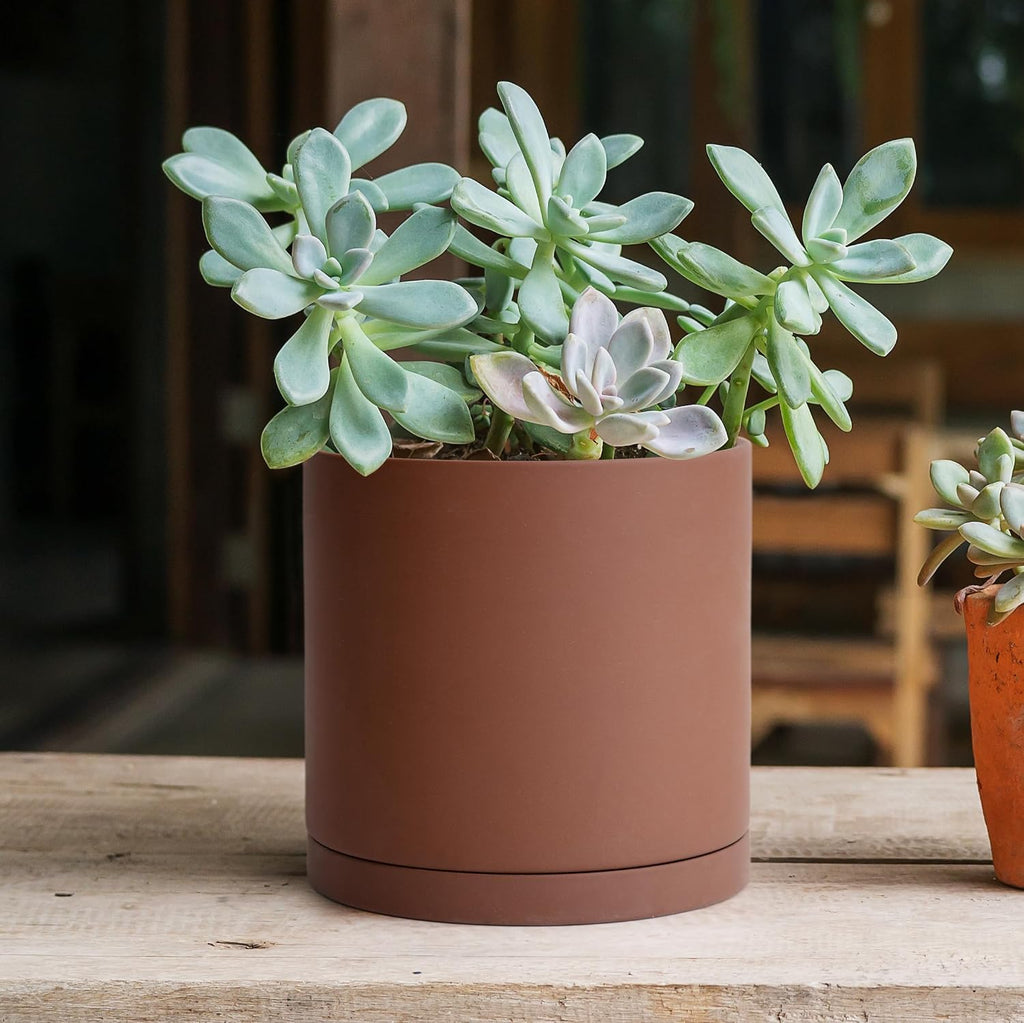 D'vine Dev Rust Terracotta Plant Pot with Saucer, 6 in, 40-V-C-3 | Classic Cylinder Shape, Natural Clay Texture, Porous