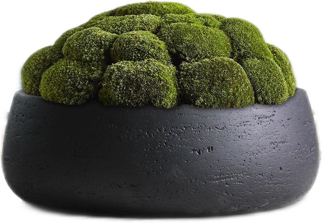 Olly & Rose Copenhagen Large Ceramic Planter Bowl Shallow Plant Pot - Matt Black Flower Pot Indoor and Outdoor Garden