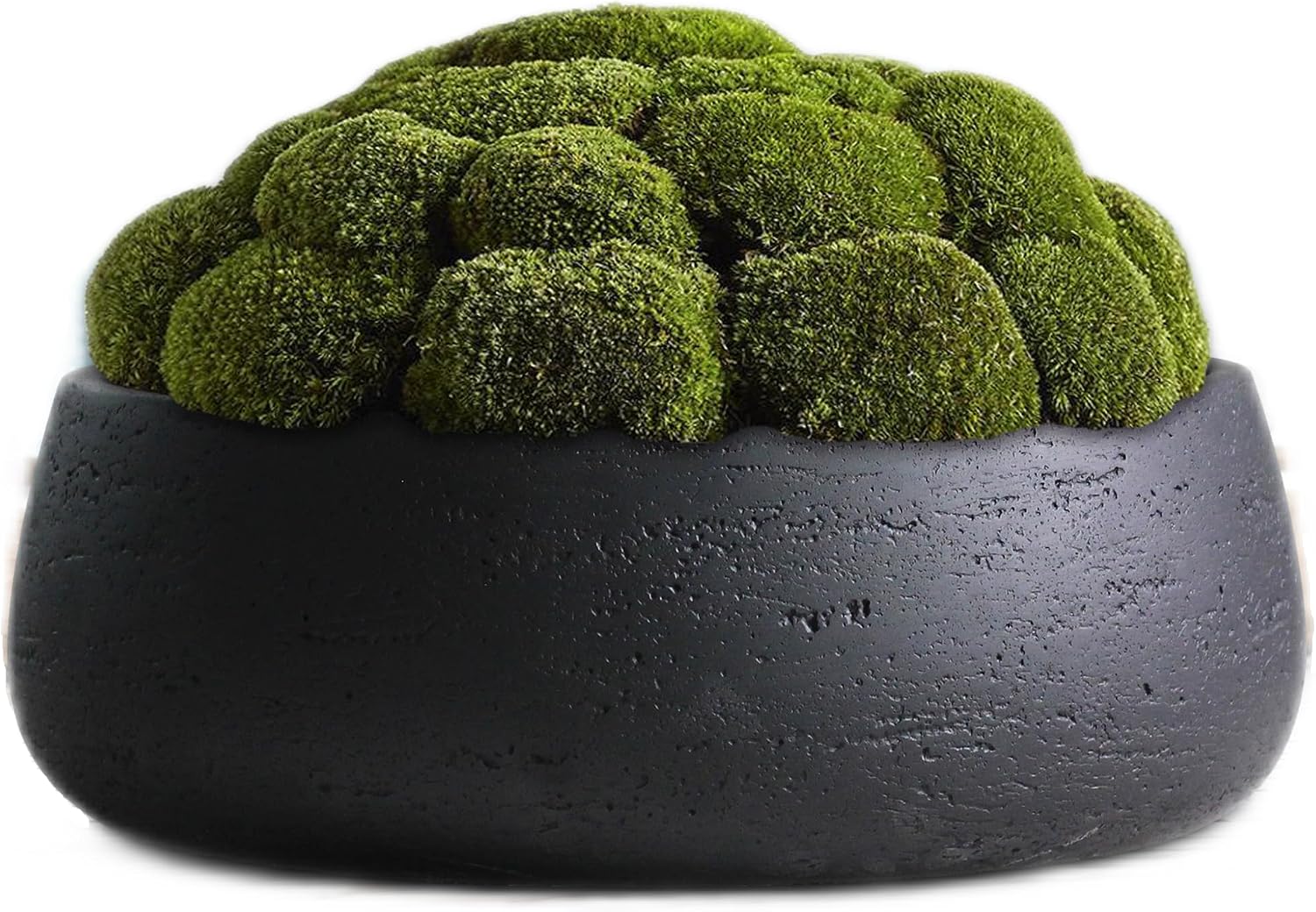 Olly & Rose Copenhagen Large Ceramic Planter Bowl Shallow Plant Pot - Matt Black Flower Pot Indoor and Outdoor Garden