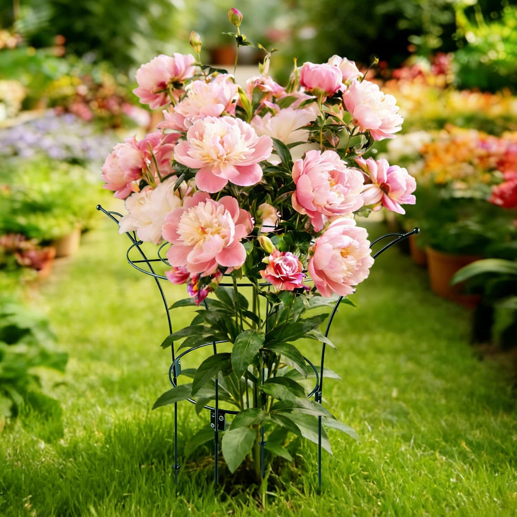 Fayoo 2 Pack Peony Cages and Supports with Twist Ties, 23.2" H X 13" D Heavy Duty Metal Plant Support Rings, Outdoor