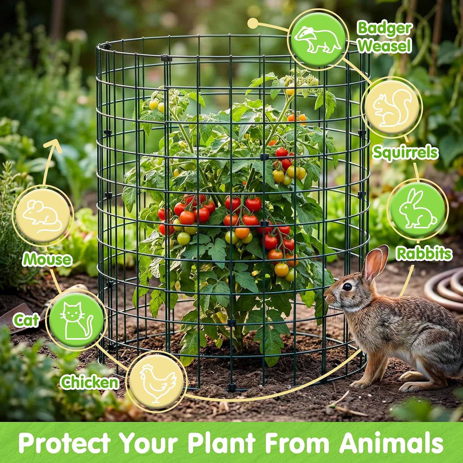 10 Pack Round Plant Protector from Animals – 30pcs 12" × 12" Metal Wire Mesh Garden Plant Cages Wire Plant Covers