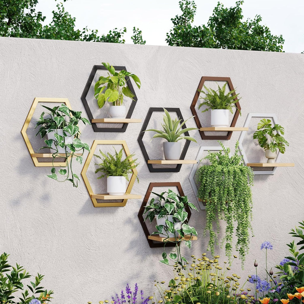 3 Pack Hexagon Wall Plant Stands, 9 Inch Wood Shelf, Coffee | Soild Wood,Metal Framework,Wall Plant Stand,Natural Wood