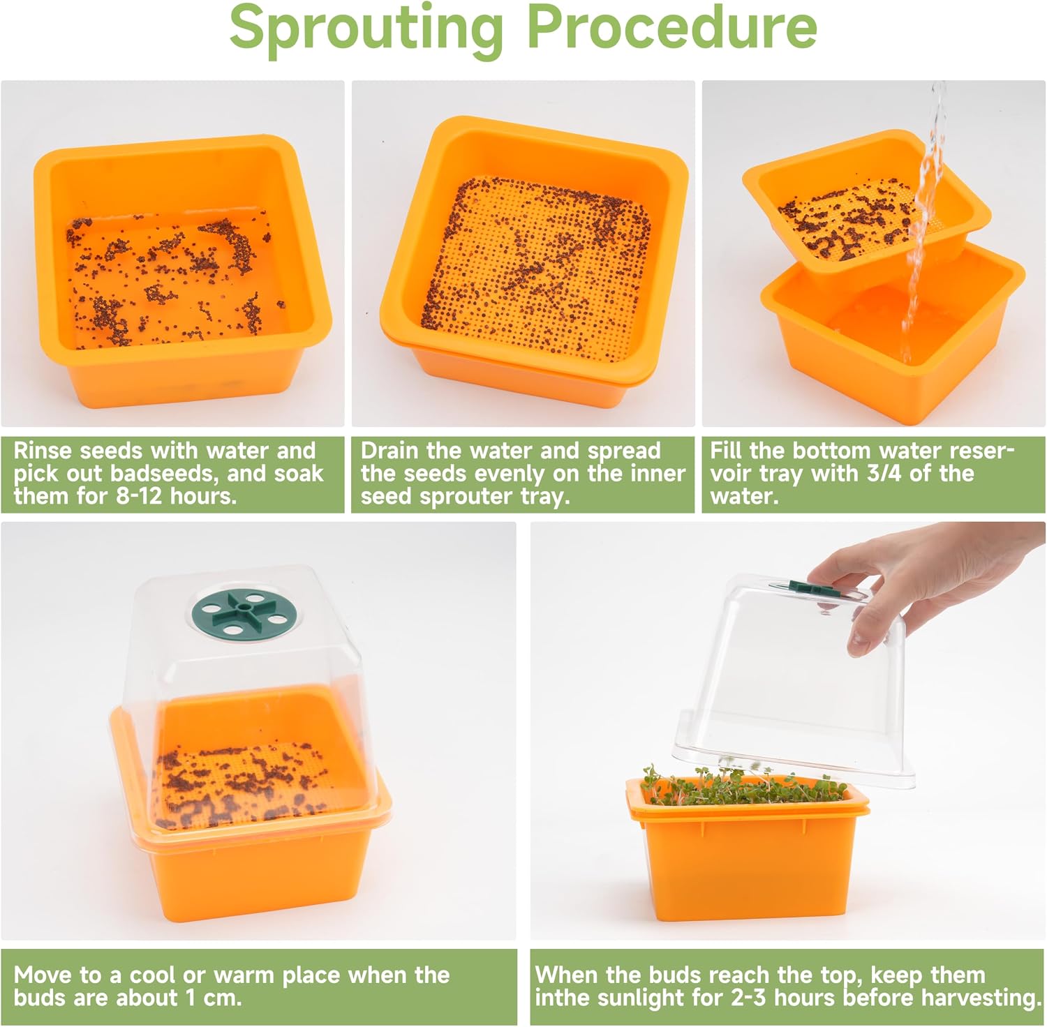 Microgreen Growing Trays, 5" x 5" Sprouting Tray with Humidity Dome, 1.2 mm Small Mesh Holes, BPA Free, Sprouter Kit