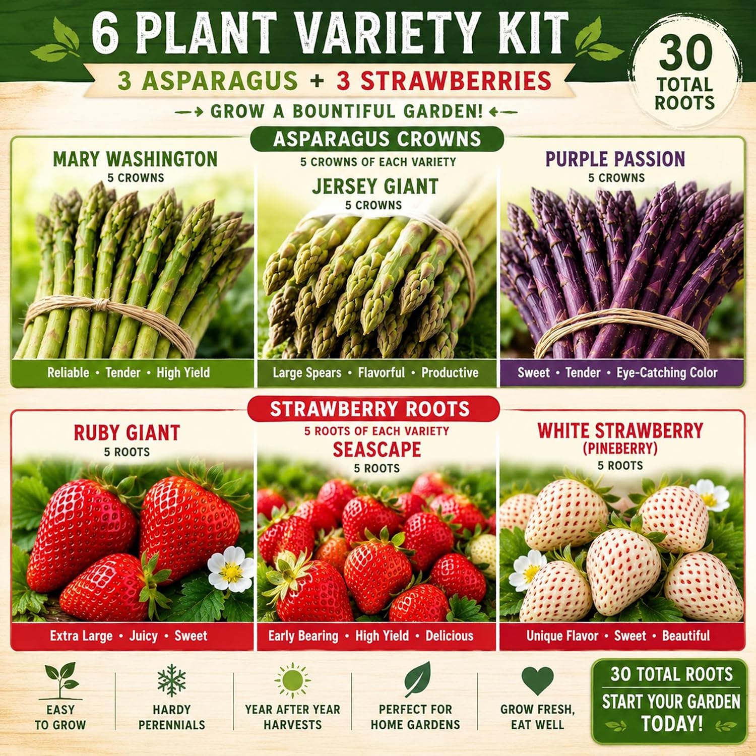 Asparagus & Strawberry Roots Variety Pack | 30 Live Bare Root Plants | 3 Asparagus Varieties + 3 Strawberry Varieties