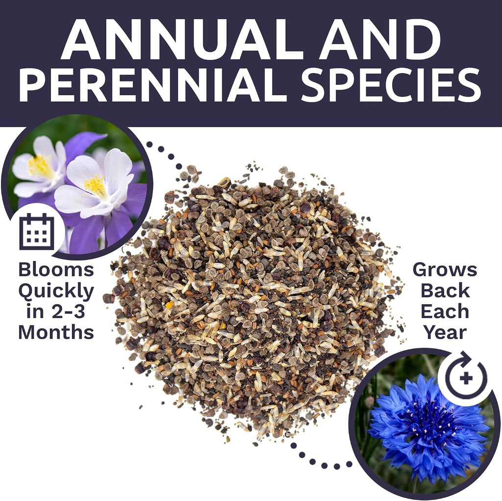 Bulk Wildflower Seeds Partial Shade Mix - 1/4 Pound Bag Over 30,000 Open Pollinated Annual and Perennial Seeds