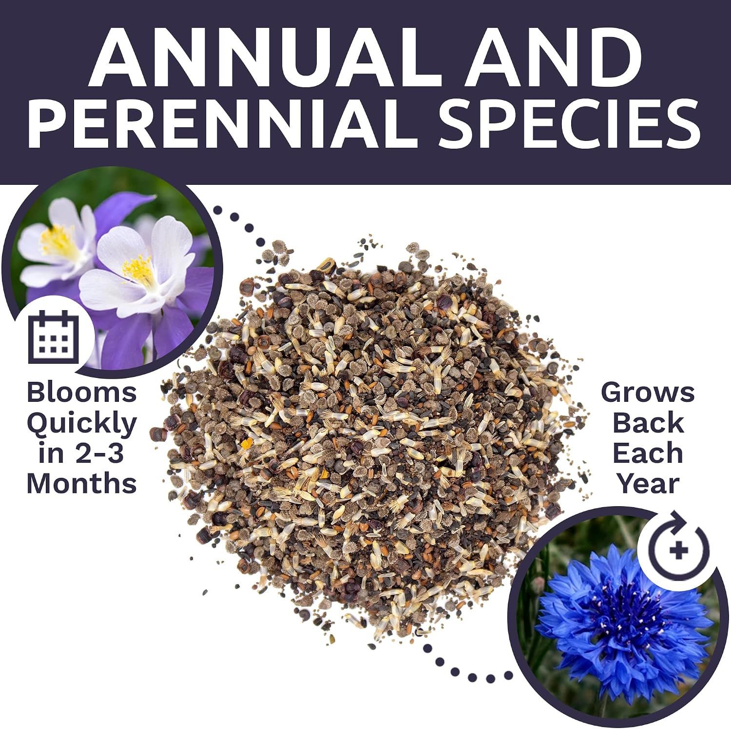 Bulk Wildflower Seeds Partial Shade Mix - 1/4 Pound Bag Over 30,000 Open Pollinated Annual and Perennial Seeds