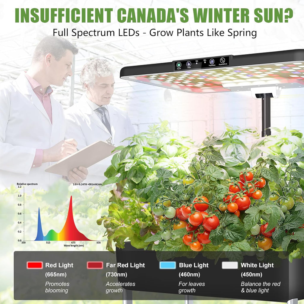 Large Hydroponics Growing System Kit,44-Pod with 3 Seed Packs | Includes Basil, Buttercrunch Lettuce & Gourmet Salad