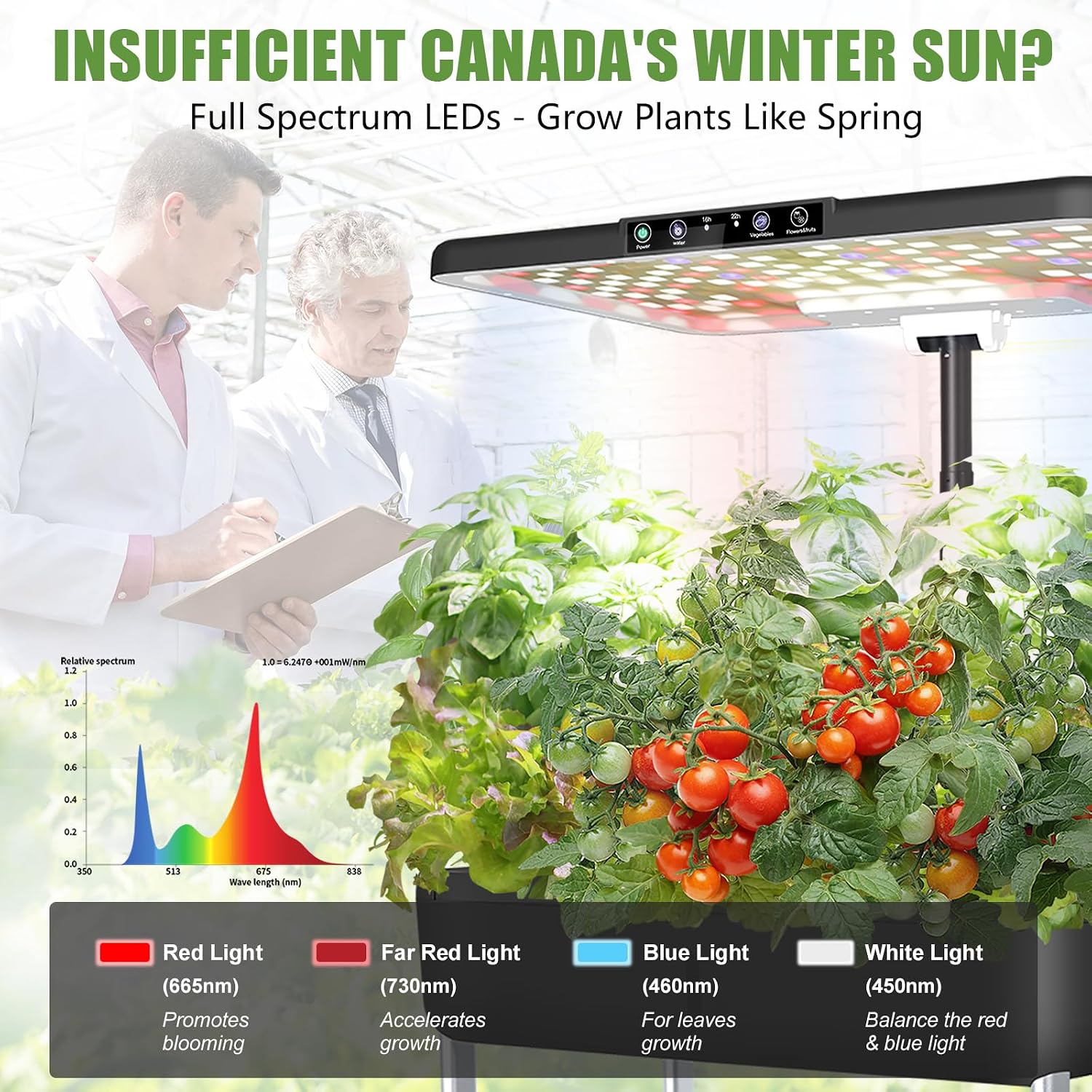 Large Hydroponics Growing System Kit,44-Pod with 3 Seed Packs | Includes Basil, Buttercrunch Lettuce & Gourmet Salad