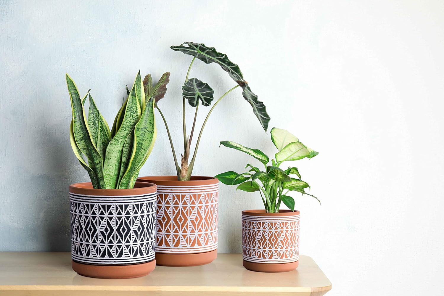 D'vine Dev 2-Pack Terracotta Pots, 4/6 in, Terra/White, 31-958-G-1 | Hand-Painted Pattern, Natural Clay Texture