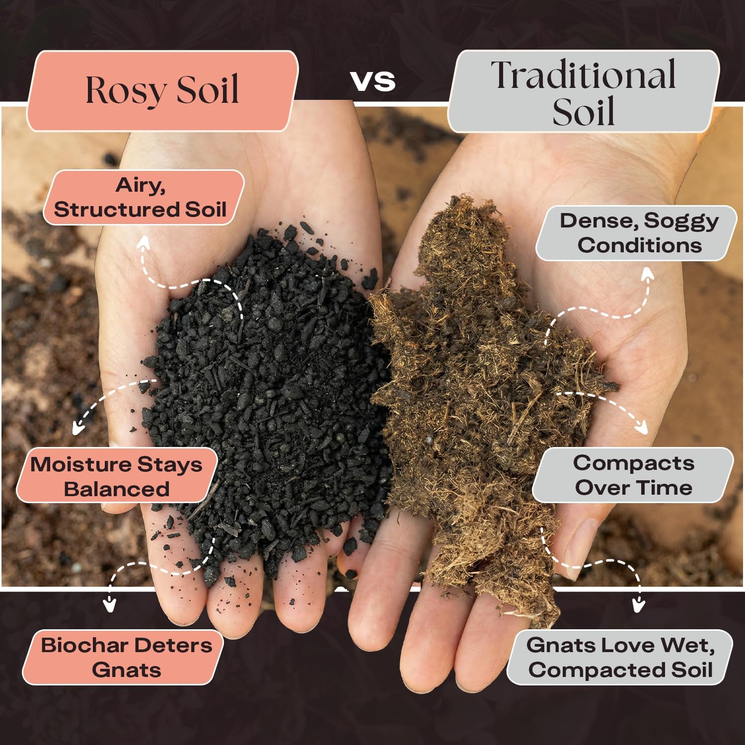 Rosy Soil Cactus and Succulent Potting Soil Mix (4 qts) + Indoor Potting Soil (8 qts) - Peat Free House Plant Soil