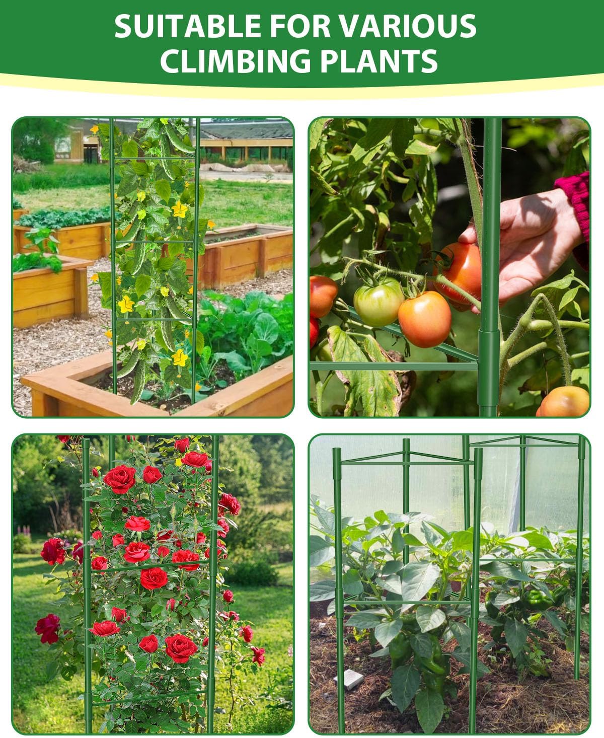 MYMULIKE 6 Pack Tomato Cages for Garden, 51in*13in Adjustable Tomatoes Plant Stakes Support Cages Trellis, Garden