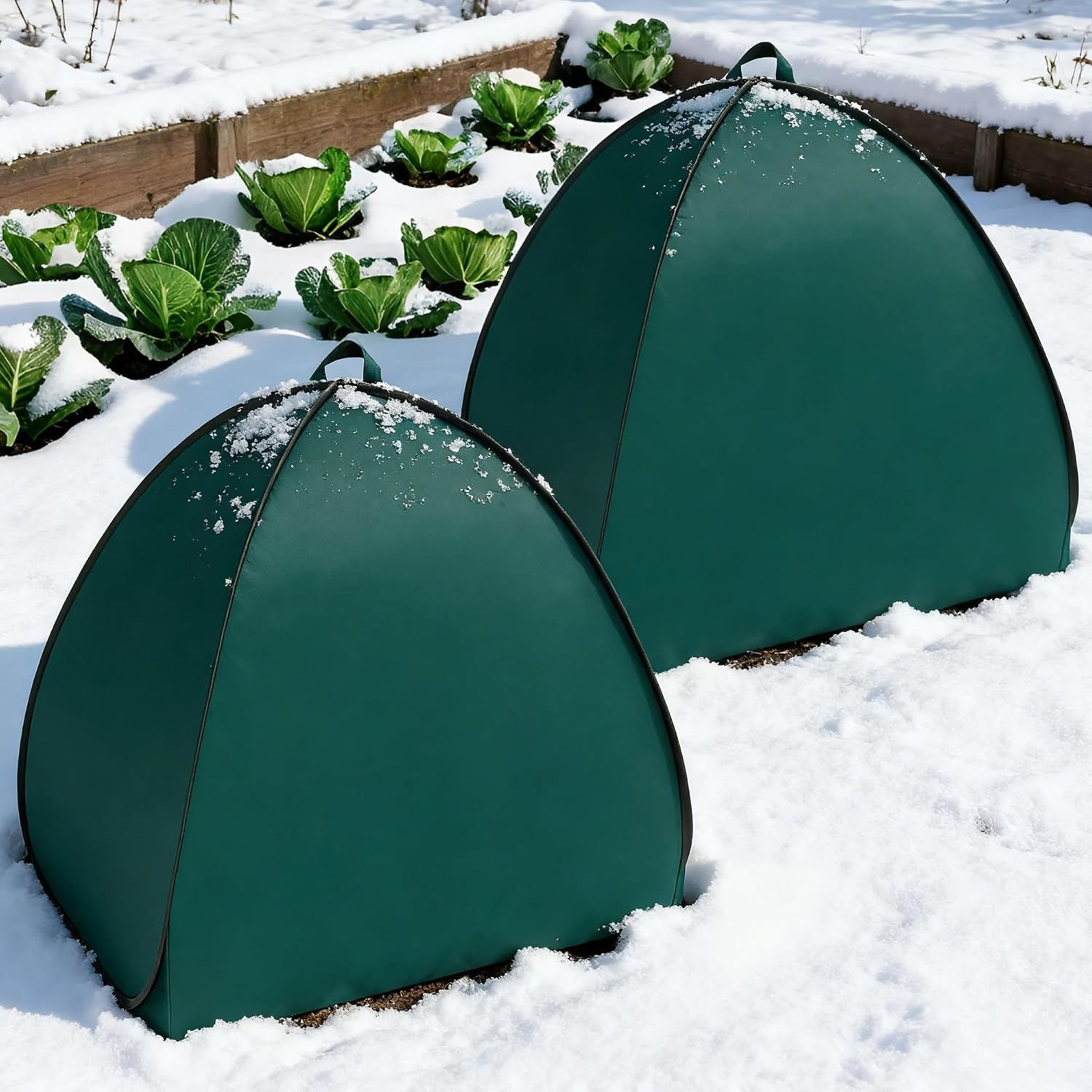 2 Pcs Pop Up Shrub Covers Frost Protection Tent, 22" x 22" x 22" Winter Plant Cover Freeze Protection, Warm Garden