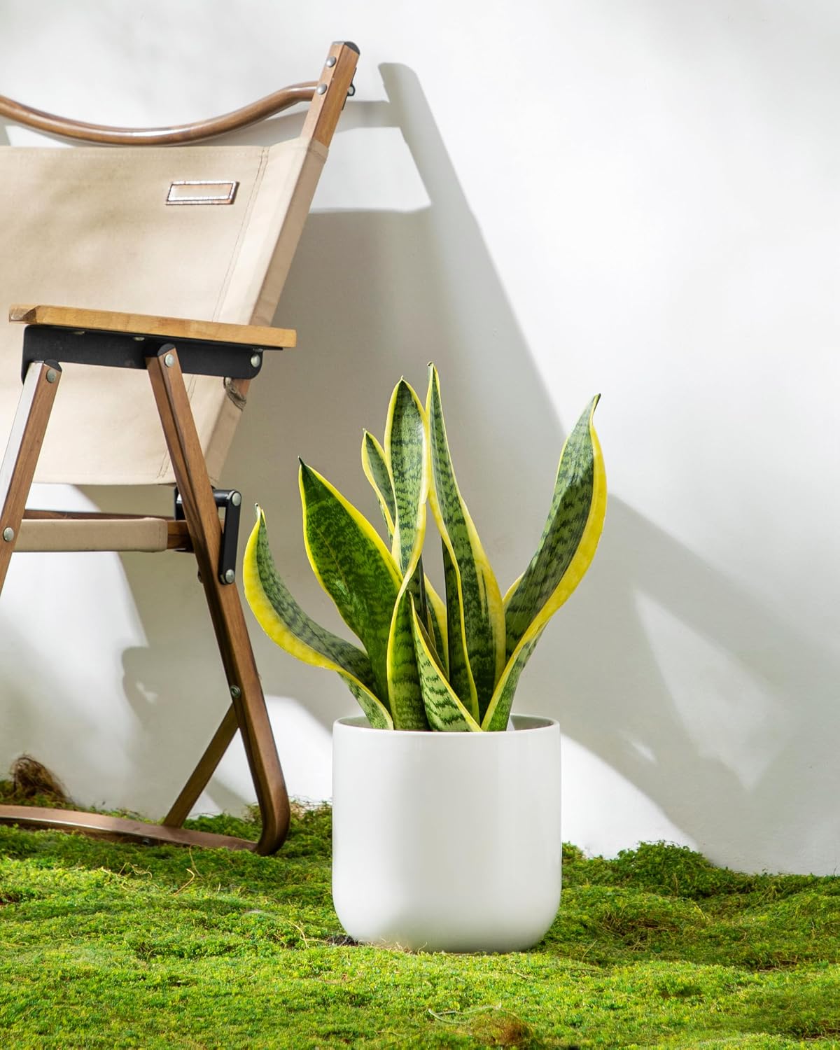 vancasso 6 Inch Ceramic Plant Pots, Planters with Drainage Hole, Flower Pots Planters Pots for Indoor Plants, Modern