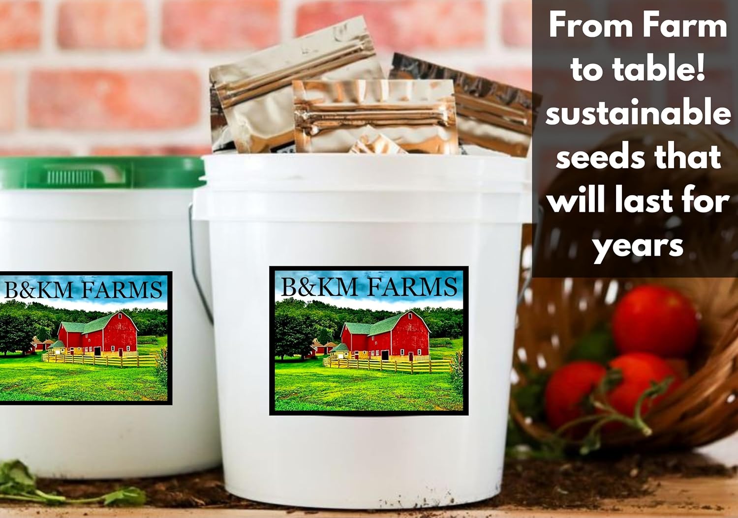 100 Seed Packets, 50 Varieties: Ultimate Seed Vault for Home Food Security & Abundant Gardens by B&KM Farms