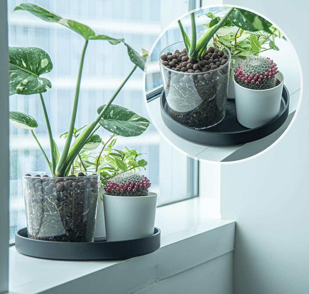Phoenix Vine 12 Inch Plastic Plant Saucer Water Drip Tray, Heavy Sturdy Round Plant Drainage Tray for Indoors Outdoor