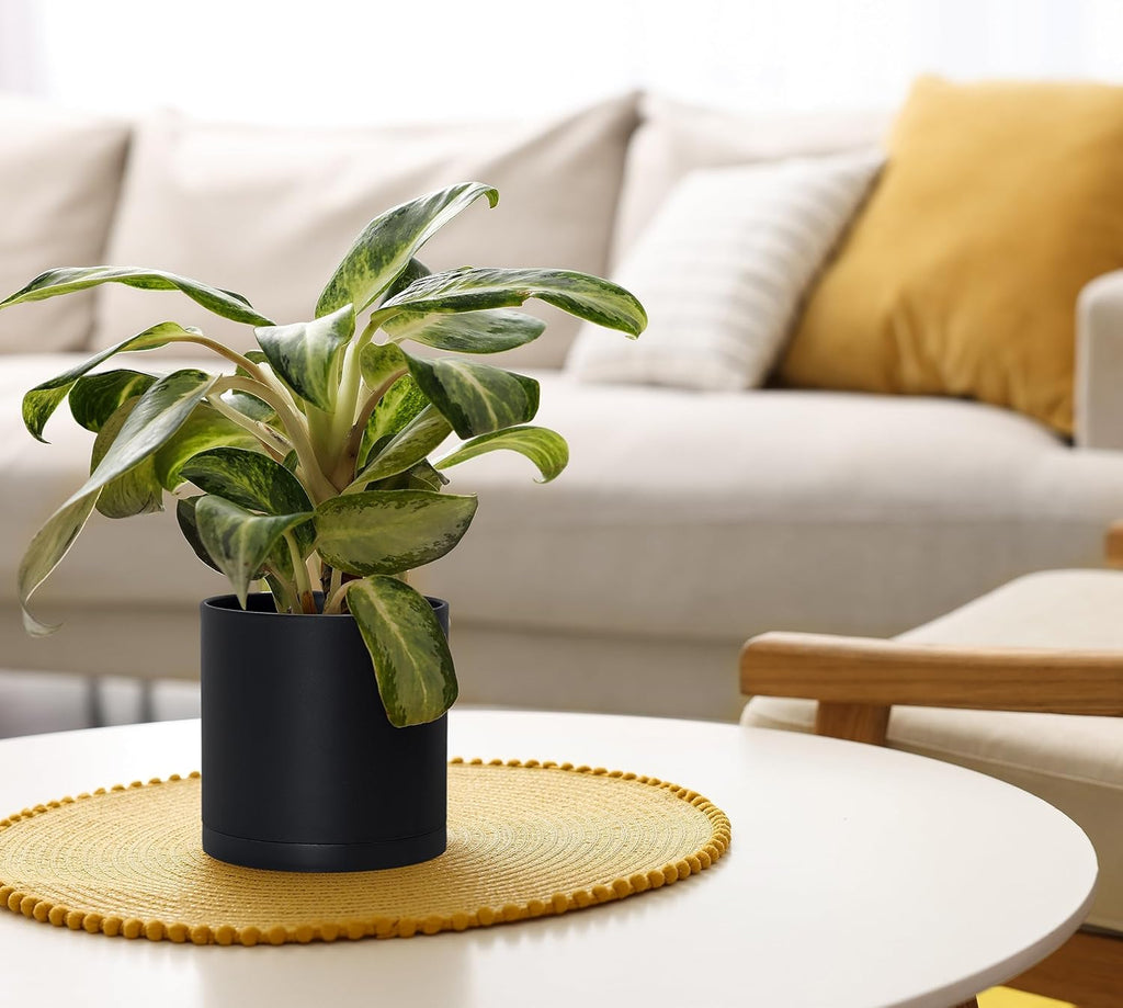 D'vine Dev 2-Pack Black Plastic Planters with Saucers, 6 in, 74-Y-J-1 | Lightweight Durable Build, Matte Finish