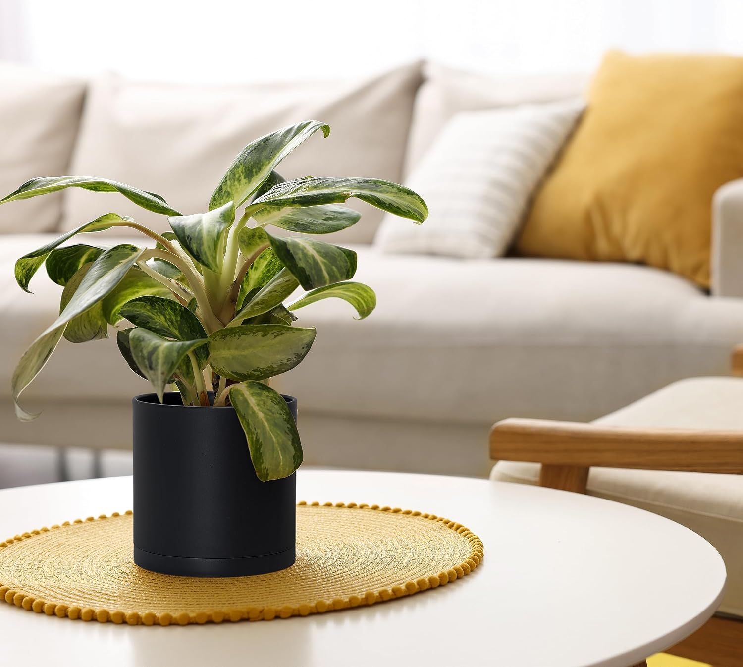 D'vine Dev 4-Pack Black Plastic Planters with Saucers, 6 in, 74-Y-J-2 | Lightweight Durable Build, Matte Finish