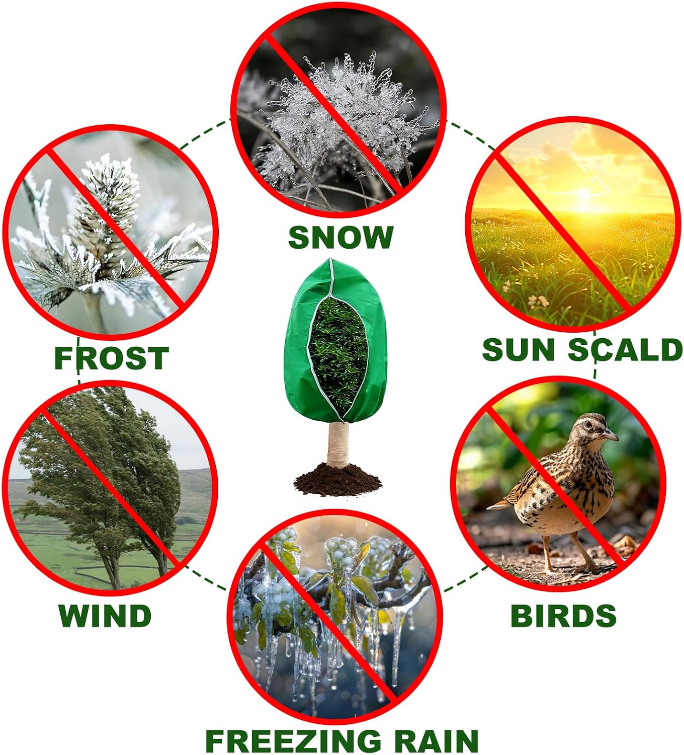 Plant Covers for Freeze Protection, 2 Pack 63" x 71" Drawstring | Breathable Frost Protection for Trees, Shrubs and