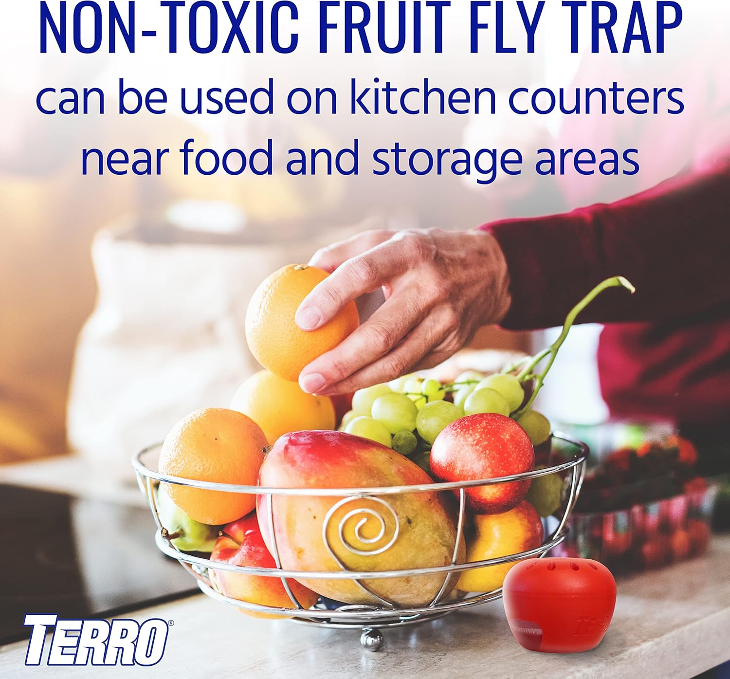 Terro Fruit Fly Traps for Indoors (12 Pack) + 540 Days of Lure Supply
