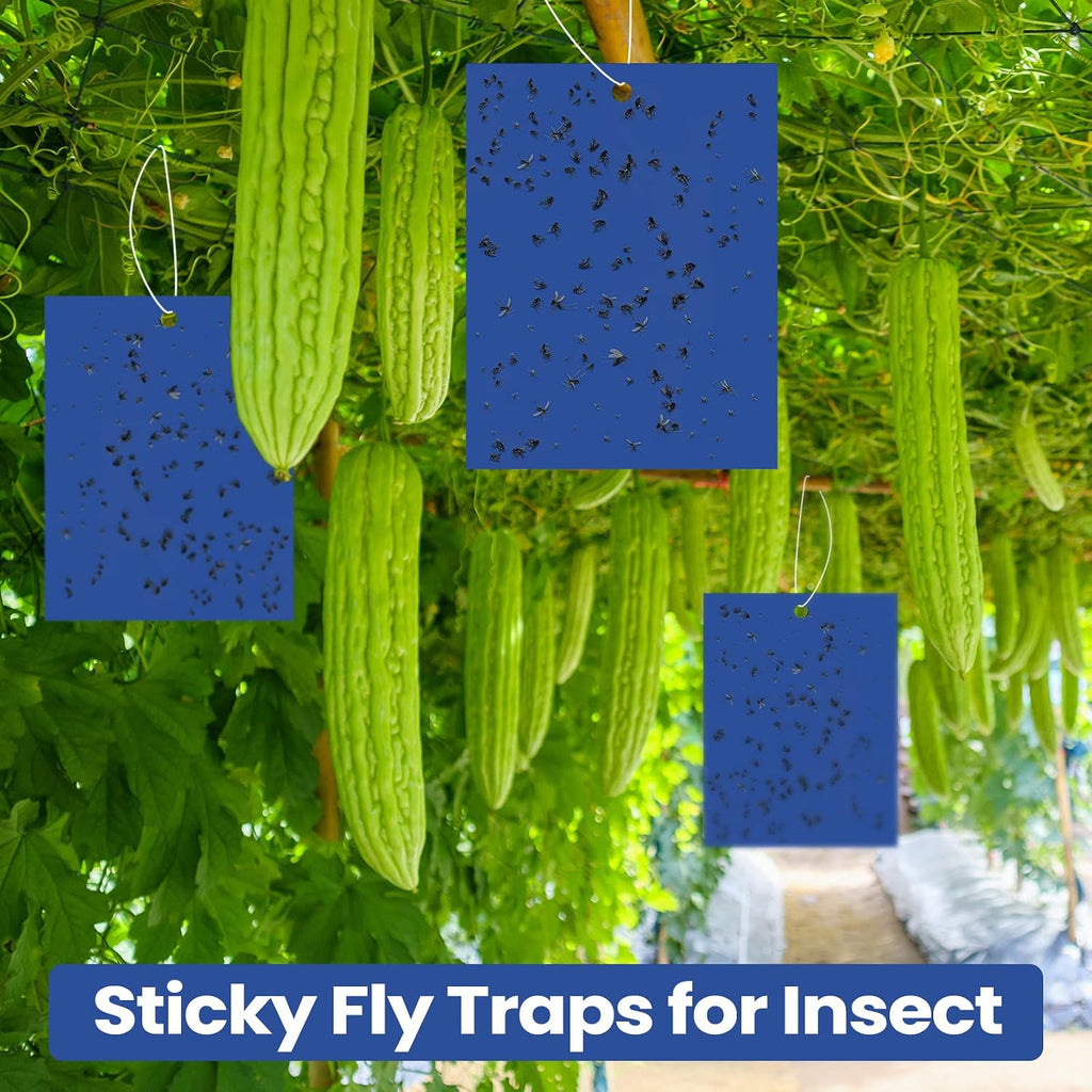 Qualirey 150 Pcs Yellow Sticky Traps 6x8in for Gnats Indoor | Dual-sided for Fungus Gnats Fruit Flies Whiteflies