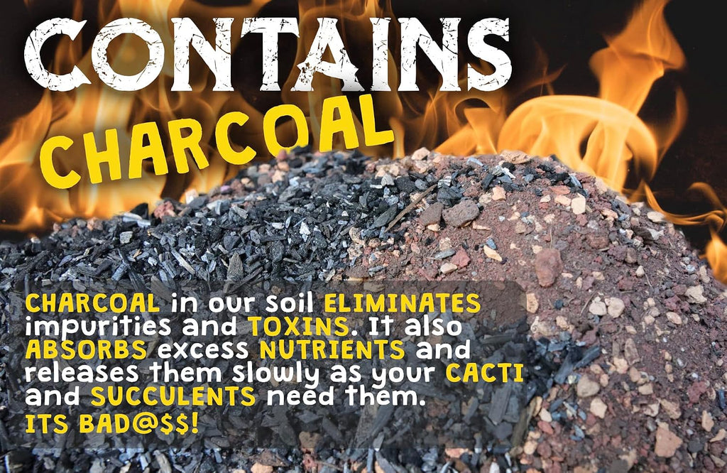 High Drainage Cactus Soil Potting Mix with Mycorrhizal Fungi - 8 Pounds / 4 Quarts of Soil for Succulents and Cactus