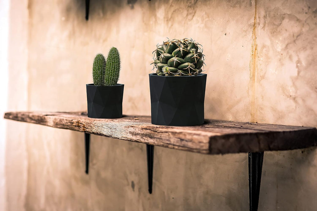 Olly & Rose Designer Geometric Ceramic Black Plant Pot Succulent Pots Cactus Planters Set 2 Indoor Outdoor Small Flower